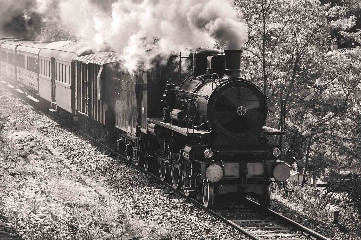 The Expansion of Railroads in the 19th Century.jpg